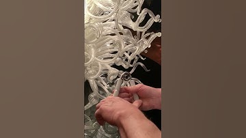 55-Year-old- No Chalk CoC #3(Parallel Set) Gripper Close @ Chihuly Garden & Glass