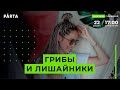 ГРИБЫ И ЛИШАЙНИКИ | Биология | PARTA