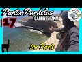 🚶‍♂️Caminando 12km x Playa, Acantilados y Fosiles, llegue a PUNTA PARDELAS 🌊