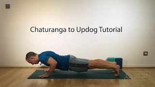 Chaturanga To Updog Transition