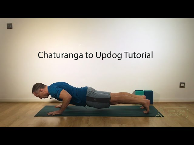 How to Do Chaturanga Transitions Safely