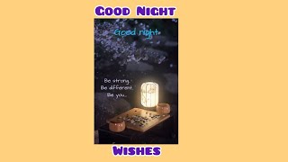 Good Night Wishes 💤