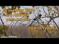 КАК ВСЁ БЫЛО. Харабалинский р-н река Ахтуба - ловля судака осенью 2020г. Фильмы ДИВЕРА