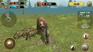 Wild Cougar Sim 3D Android Gameplay #4 screenshot 5