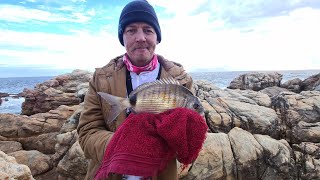Galjoen Catch, Blacktail Catch And Cook