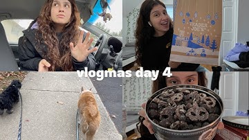 VLOGMAS DAY 4 (dogs + trader joes)