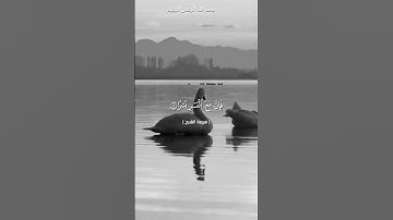 سورة الشرح بصوت القارىء محمد الفقيه