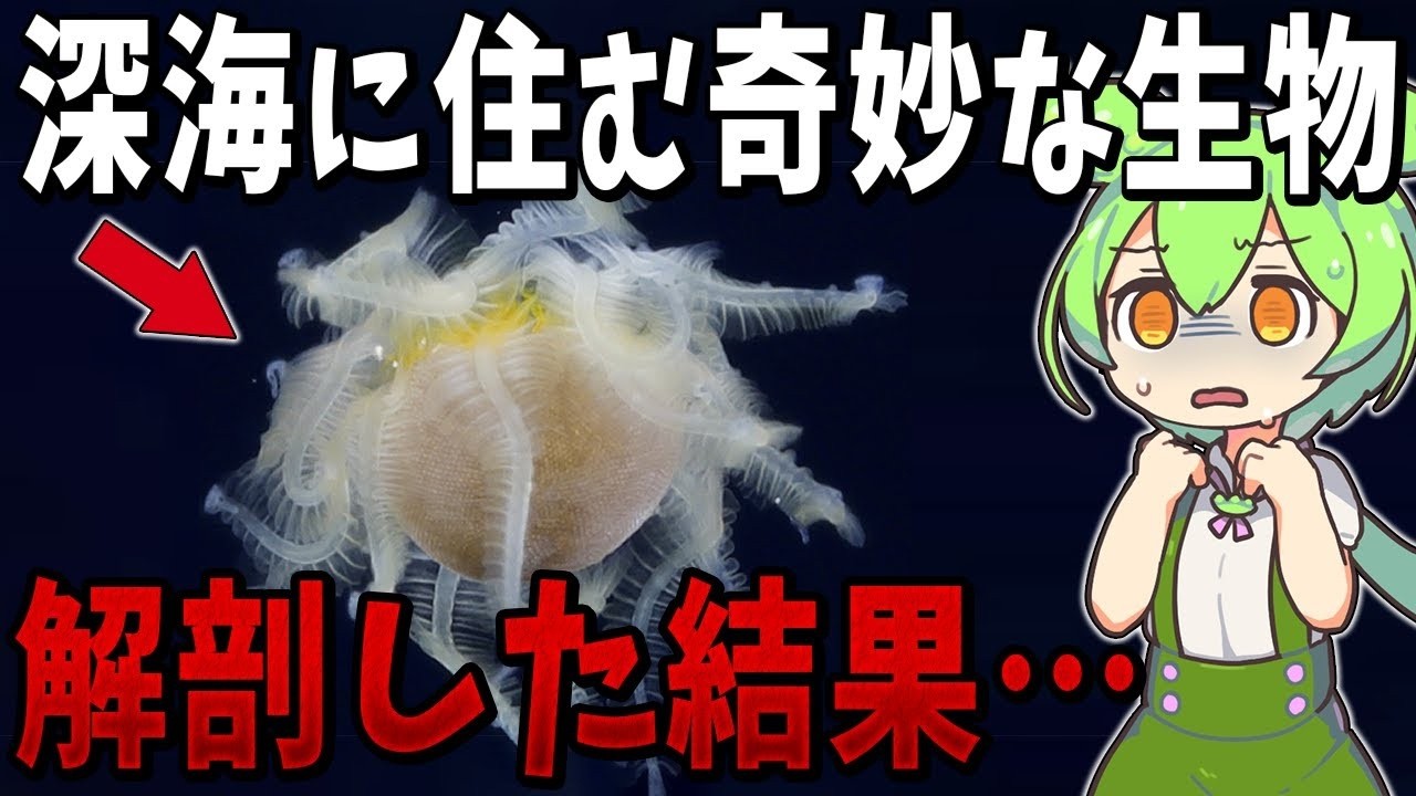 生物の謎7選！深海で発見された奇妙な生物を解剖した結果