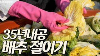 절임배추, 배추 절이는방법 | 영자씨의 35년 김치 내공 | 김장김치 1편 - 절임배추 준비 Kimchi