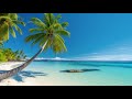 Tropical Beach Ambience with Beautiful Ocean | Relaxing Summer Vibe | Lobby Music &amp; Background Video