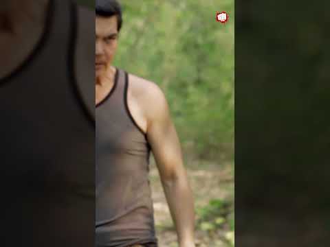 Dekhie Jabardast Action | Hindi Dubbed Hollywood Movie | Death Fighter Action Movie