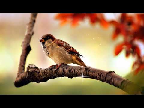 악보 찬양 예수 믿으세요 김석균 曲 혜은이 찬양