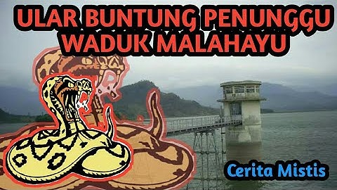 LEGENDA ULAR BUNTUNG PENUNGGU WADUK MALAHAYU BREBES JAWA TENGAH