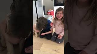 Max & Ava-Rose’s dog - Belle the Cavapoo