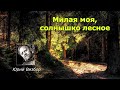 #Юрий_Визбор.  Милая моя,солнышко лесное.