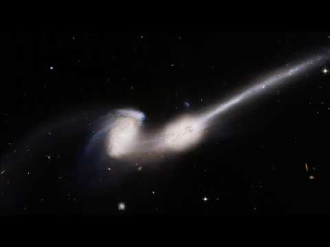 Koss — Koss  - Jumoku (Original Mix)