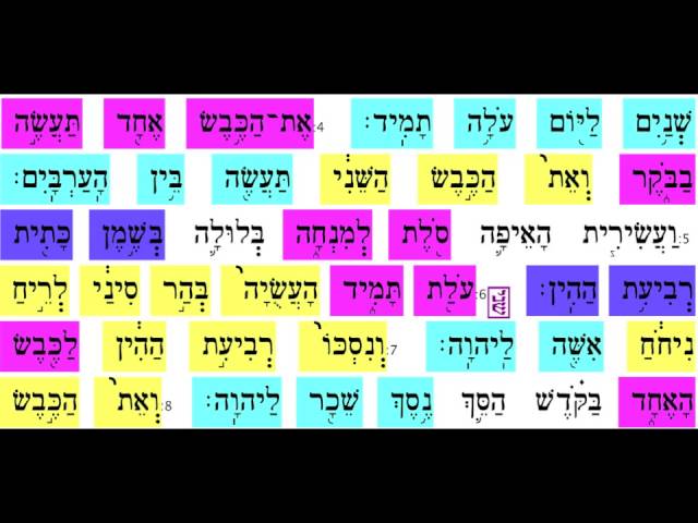 Rosh Chodesh 5