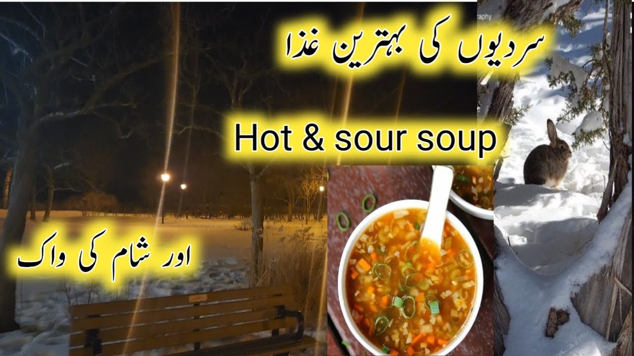 Winter In Canada Toronto Life Vlog hot And Sour Soup In Haka Canada winter-in-canada-toronto-life-vlog-hot-and-sour-soup-in-haka-canada
