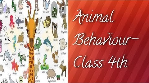 Class-4th-Chapter-16- "Animal Behaviour. (Easy way to learn).