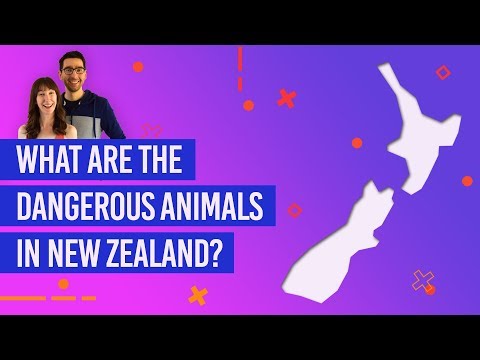 Video: Neidentificēta Radība Tika Izmesta Uz Jaunzēlandes Pludmali - Alternatīvs Skats