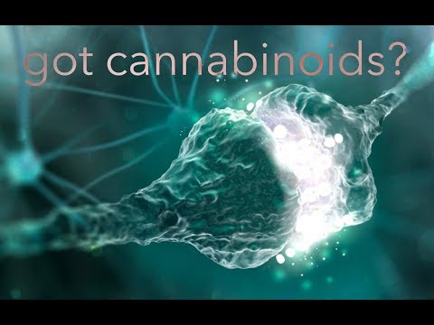 WHAT IS CLINICAL ENDOCANNABINOID DEFICIENCY (CECD)? - YouTube