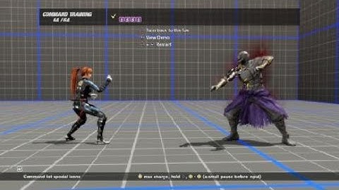 DEAD OR ALIVE 6 Demo - RAIDOU Command Training