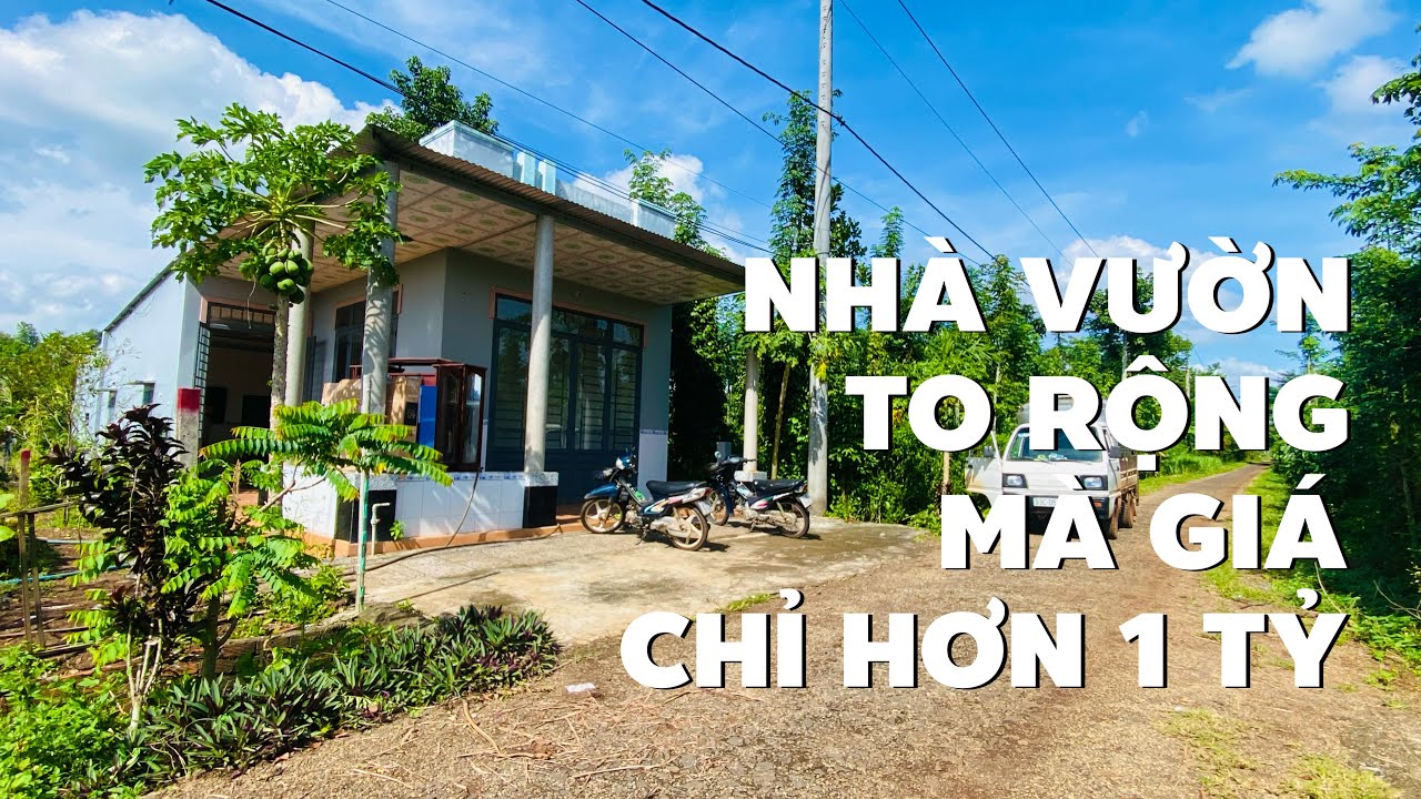 Gần nhà Dư có nhà vườn đẹp rộng 1503m2 chủ bể nợ bán rẻ chỉ nhỉnh 1 tỷ