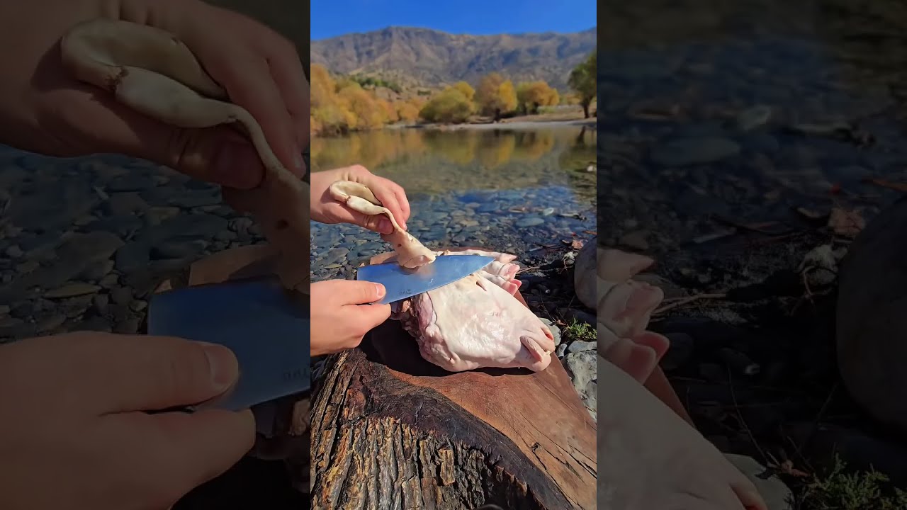Primitive Cooking: Smoked Fish in a Stump & Forest Pizza | Nature ASMR