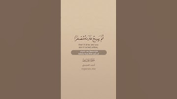 سورة الحديد [ 20 ] ~ الشيخ أحمد العجمي