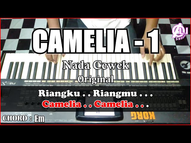 CAMELIA - Rhoma irama | Karaoke Nada Cewek Korg Pa3x (Chord&Lirik) class=