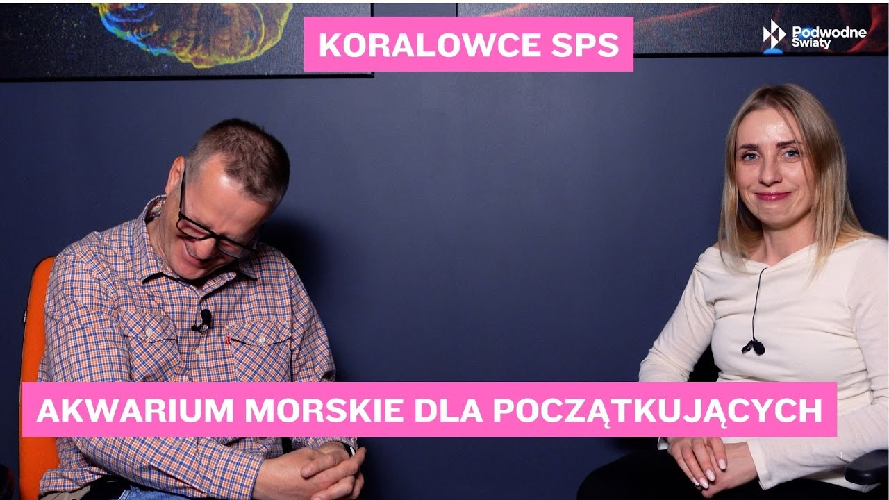 Akwarium morskie dla początkujących.  Korale SPS