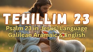 TEHILLIM 23   Psalm 23 in Jesus Language Galilean Aramaic and English