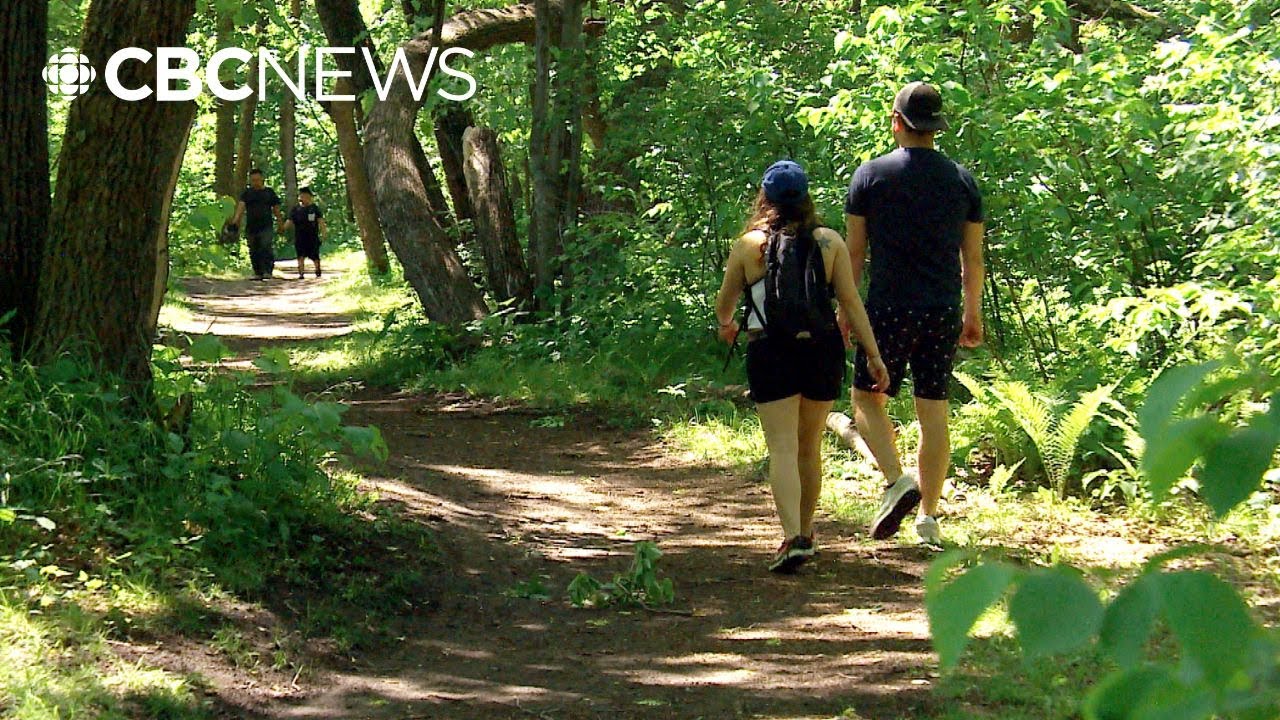 Backcountry travel rules frustrate some Manitobans