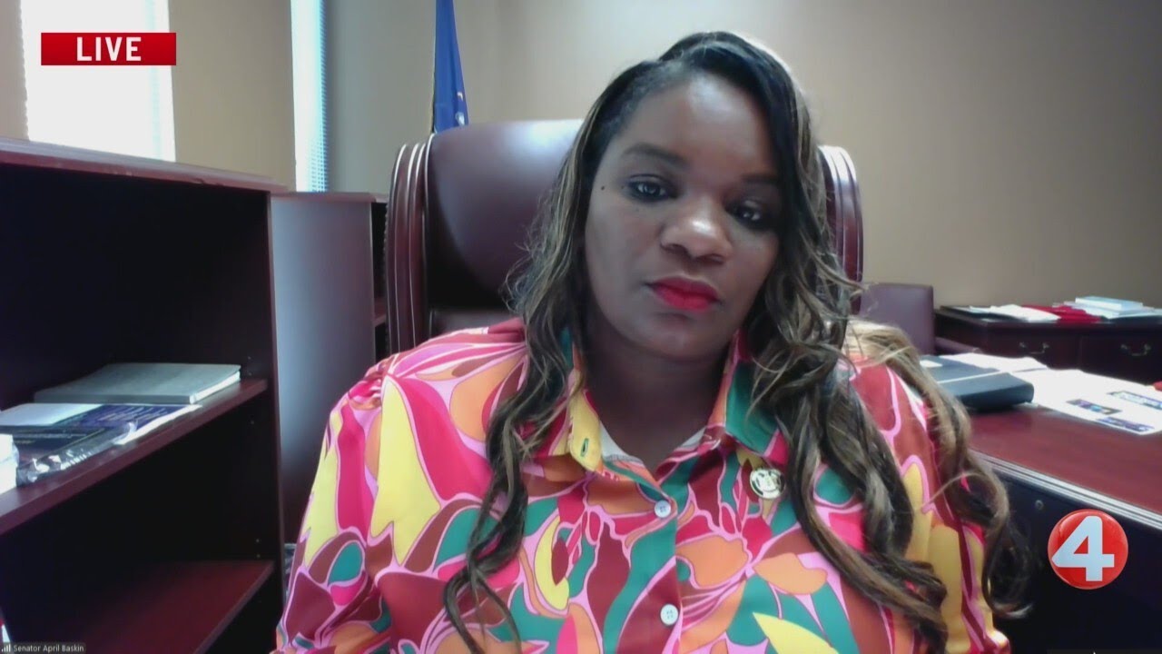 Interview: State Senator April Baskin talks state, city budgets
