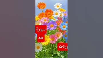 ماتيسر من سورة طه #اكسبلور #راحة_نفسية #المصحف