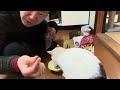 すごいぞ!ミミちゃん!高級キャットフード色々買ってきた。