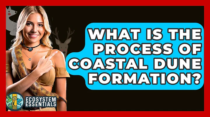 What Is The Process Of Coastal Dune Formation? - Ecosystem Essentials