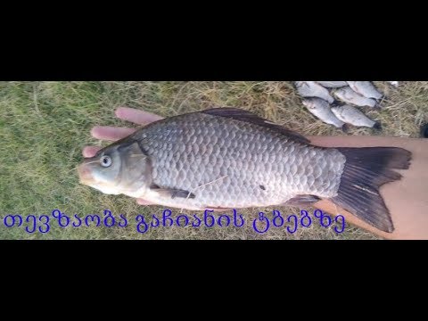 გაჩიანის ტბები-2017--Fishing on Lake Gachiani