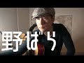 【邦楽の英訳】 野ばら 奥田民生 Wild Roses by Tamio Okuda Eng subbed J-pop ギター 弾き語り