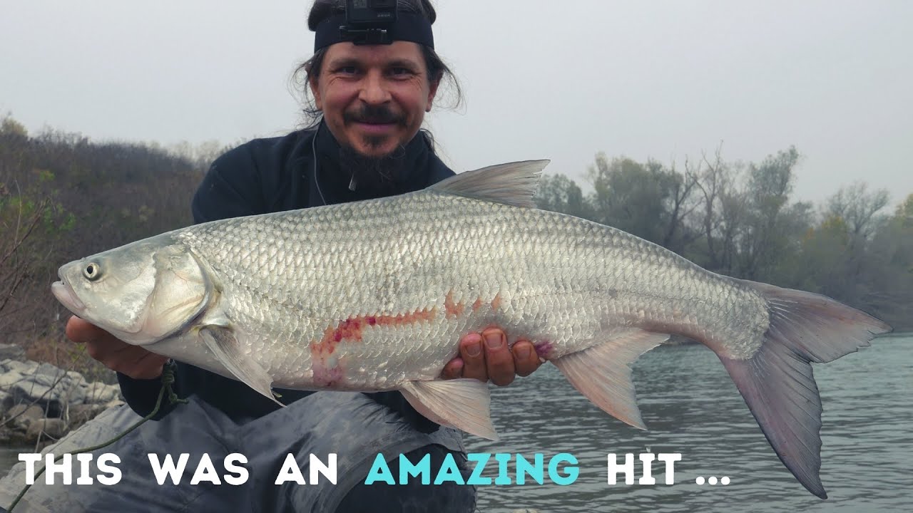 SPINNING for ASP ... an AMAZING HIT !!! BIG ASP... - YouTube