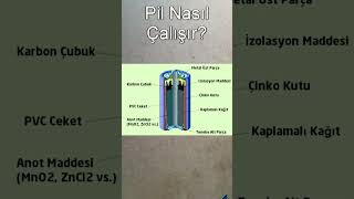 Piller Nasıl Çalışır?