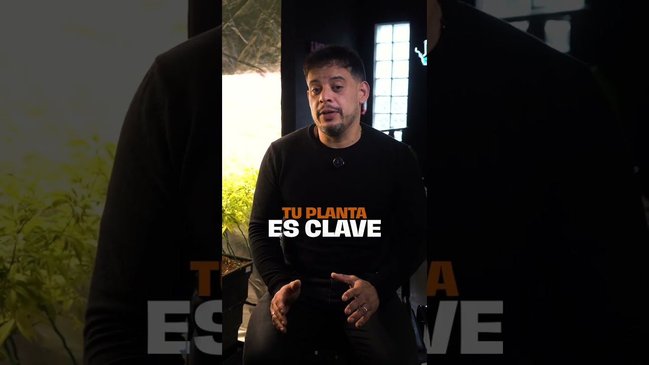 Cultivo de exterior | Cap. 1 Preparar el terreno