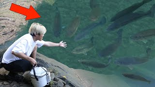 【BIG INCIDENT】When I Fished Before I Kept Spreading Shrimp In a BASS DEN!!!