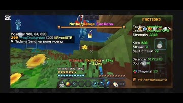 Exposing a hacker in Minecraft NetherGames!