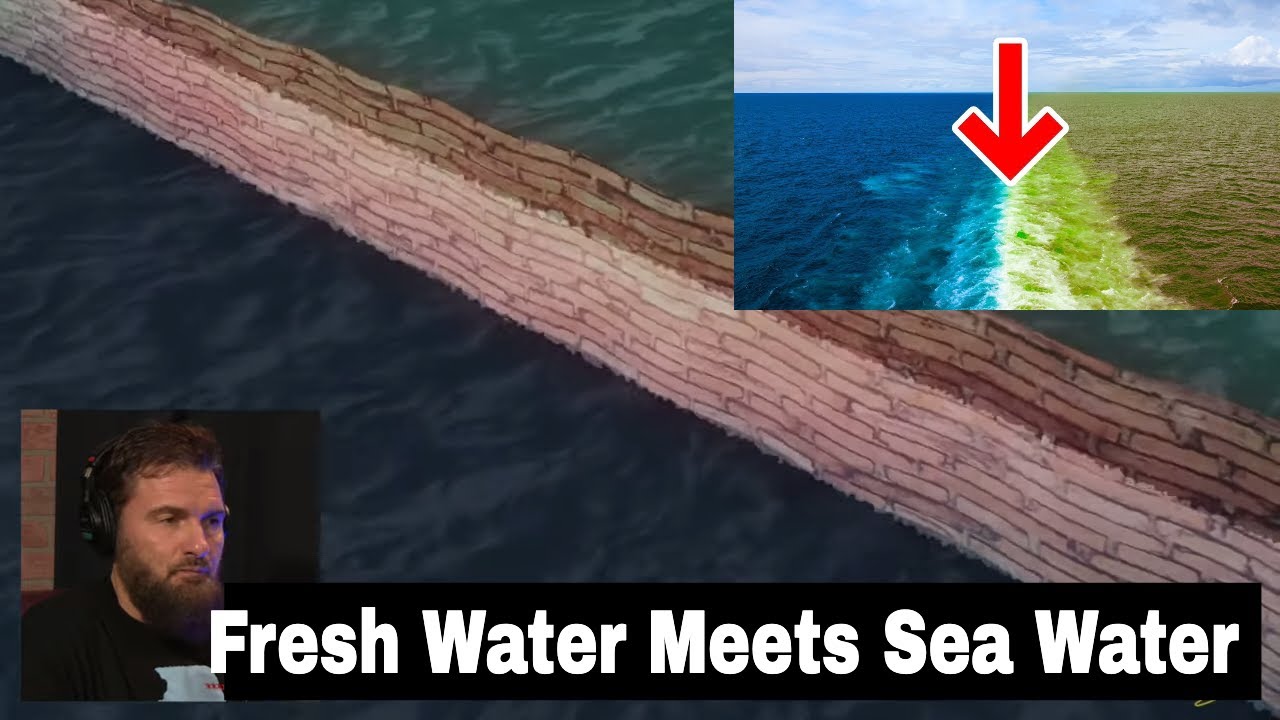 Download Why The Atlantic And Pacific Oceans Dont Mix Mp4 Mp3 3gp Naijagreenmovies Fzmovies Netnaija Download Why The Atlantic And Pacific Oceans Dont Mix Mp4 Mp3 3gp Naijagreenmovies Fzmovies Netnaija