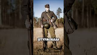Финляндия и блокадный Ленинград #история #великаяотечественная #втораямироваявойна #ссср #европа