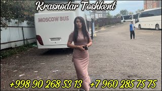 видео: +79650496969/Krasnodar Toshkent avtobus ,Ростов Ташкент автобус,москва-ташкент автобус картинка: +79650496969/Krasnodar Toshkent avtobus ,Ростов Ташкент автобус,москва-ташкент автобус