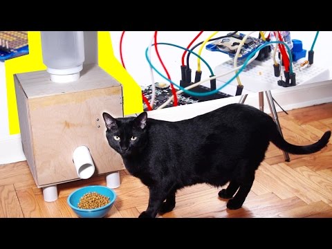 how-to:-automatic-cat-feeder!-diy-tutorial