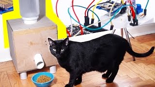 HOW TO: Automatic Cat Feeder! DIY Tutorial