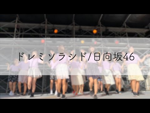 日向坂46-ドレミソラシド(2019/11/04まちかね祭)